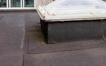 disadvantages of Cenarth flat roofs