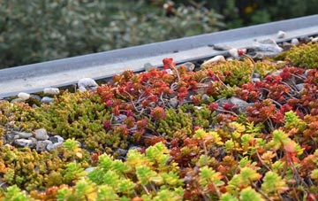 the cost of Cenarth green roof installation